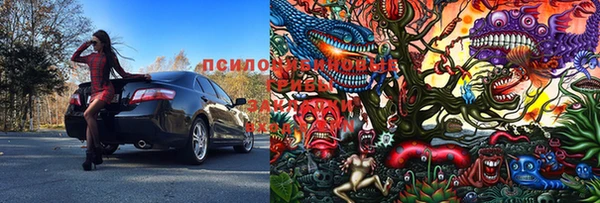 ПСИЛОЦИБИНОВЫЕ ГРИБЫ Балабаново