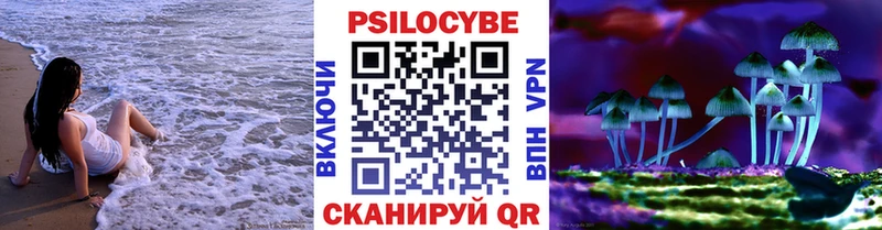Галлюциногенные грибы Psilocybine cubensis darknet состав Сегежа